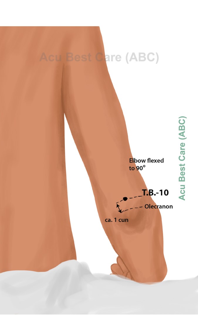 Acubestcare Meridian TW-10 or TB-10